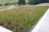 IMG-20190910-WA0028