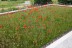 IMG-20190910-WA0029
