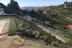 IMG-20191024-WA0015