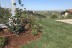 IMG-20191024-WA0017
