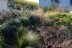 IMG_20191104_133449